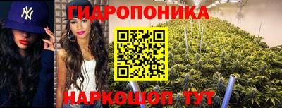 apvp Ликино-Дулёво