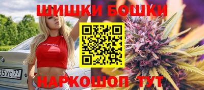 МДПВ Лесосибирск