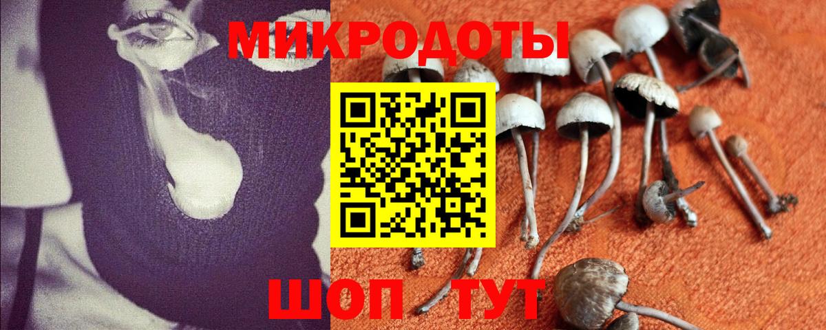 Долгопрудный  Галлюциногенные грибы Magic Shrooms  Галлюциногенные грибы Psilocybe  Вход с VPN 